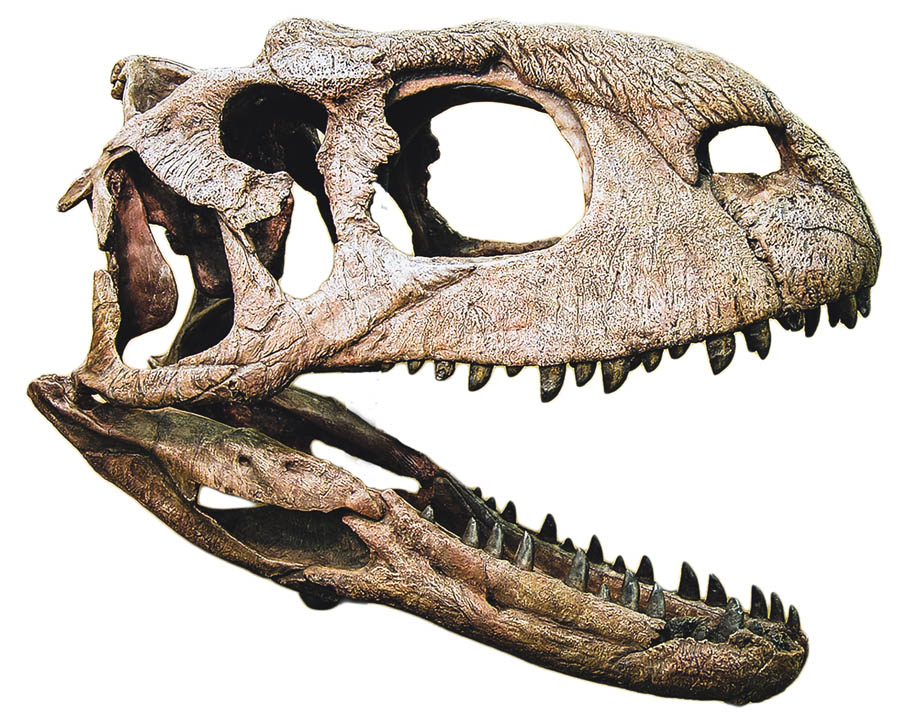 When Dinosaurs Ruled the Indian Subcontinent